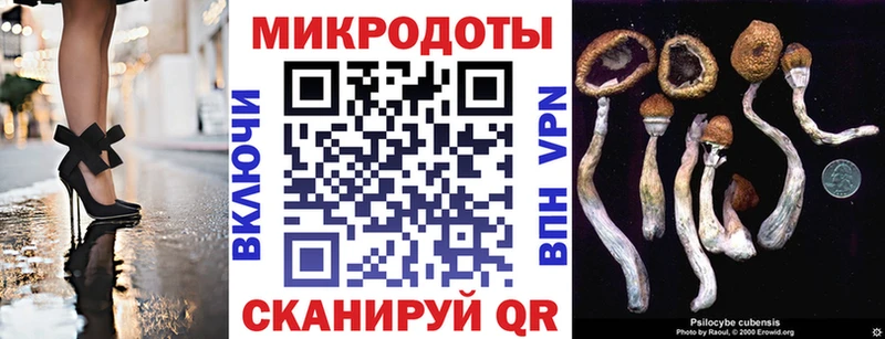 Галлюциногенные грибы Magic Shrooms  Багратионовск 